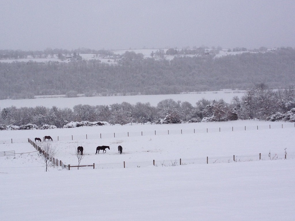 View of the Mohawk Valley Farm Meadow in Winter