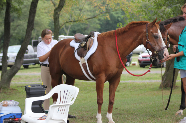 ashleybraid_photo_2012