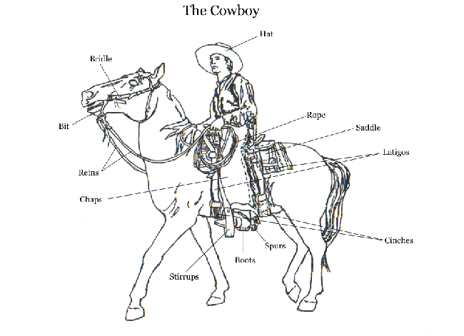 Cowboy