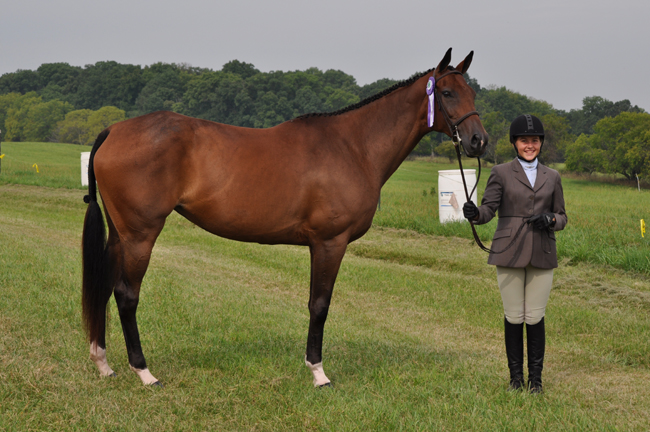 districts3_photo_2012