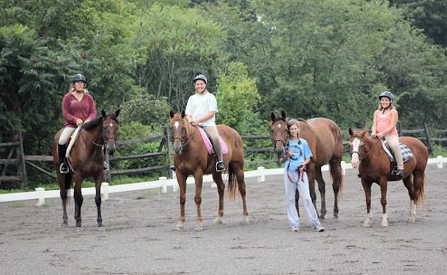 horses_group_photo_2011
