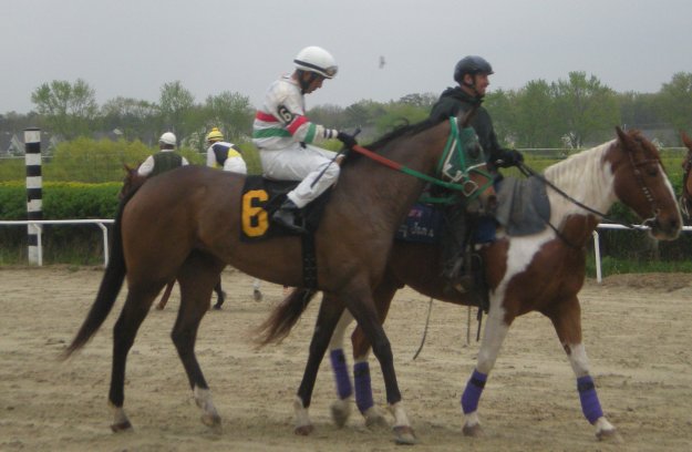 indy_ac_photo_2011