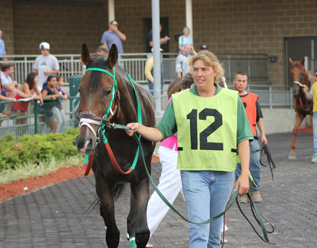 lightning_stake_photo_2012