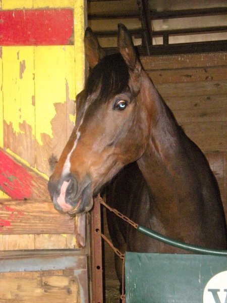 lightning_workout_photo_2011