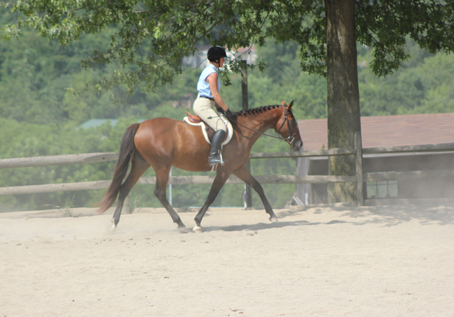 muffytrot_photo_2012