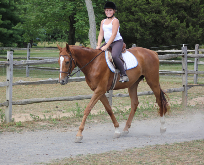 ziggyashley_photo_2012